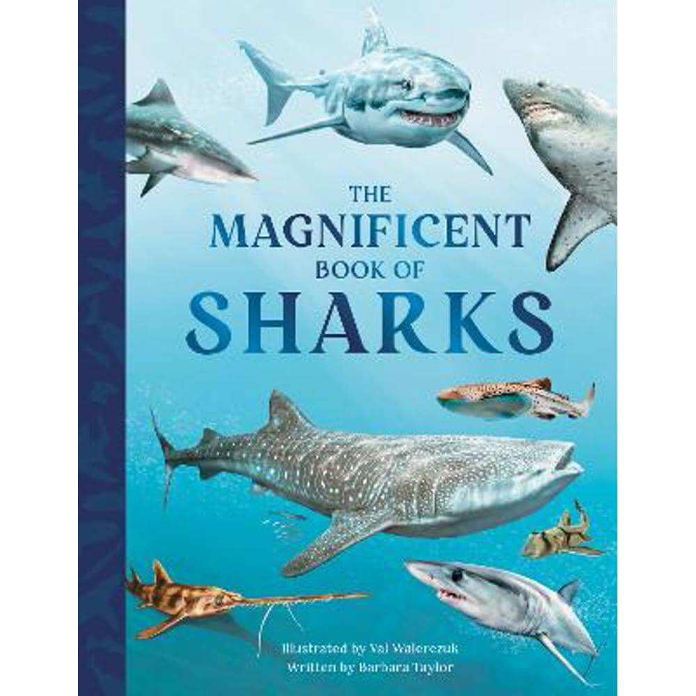 The Magnificent Book of Sharks (Hardback) - Barbara Taylor